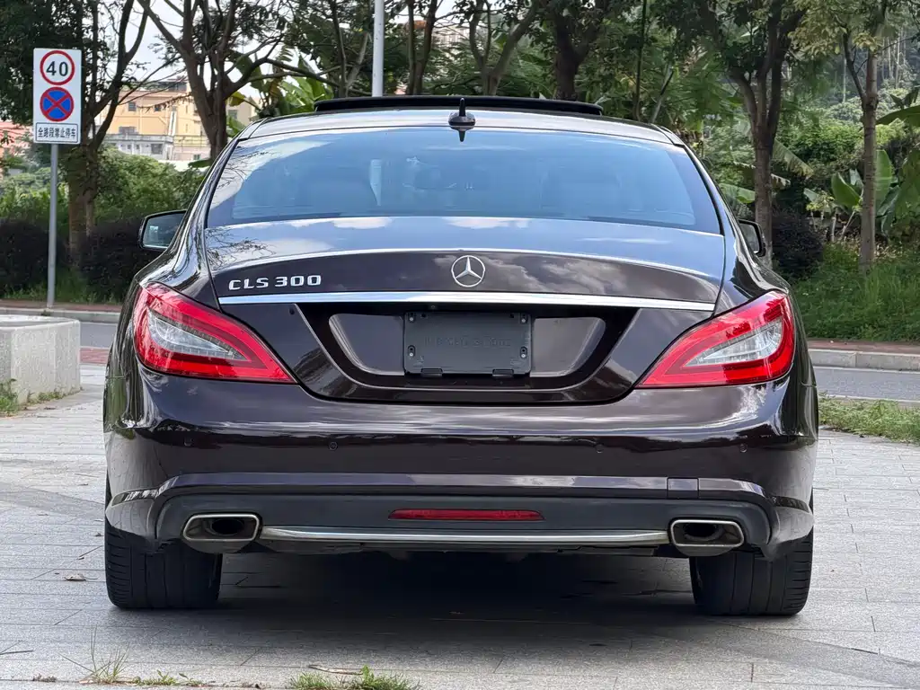 Mercedes-Benz CLS 2014 — фото 14
