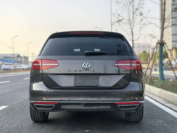 Volkswagen Viloran 2017