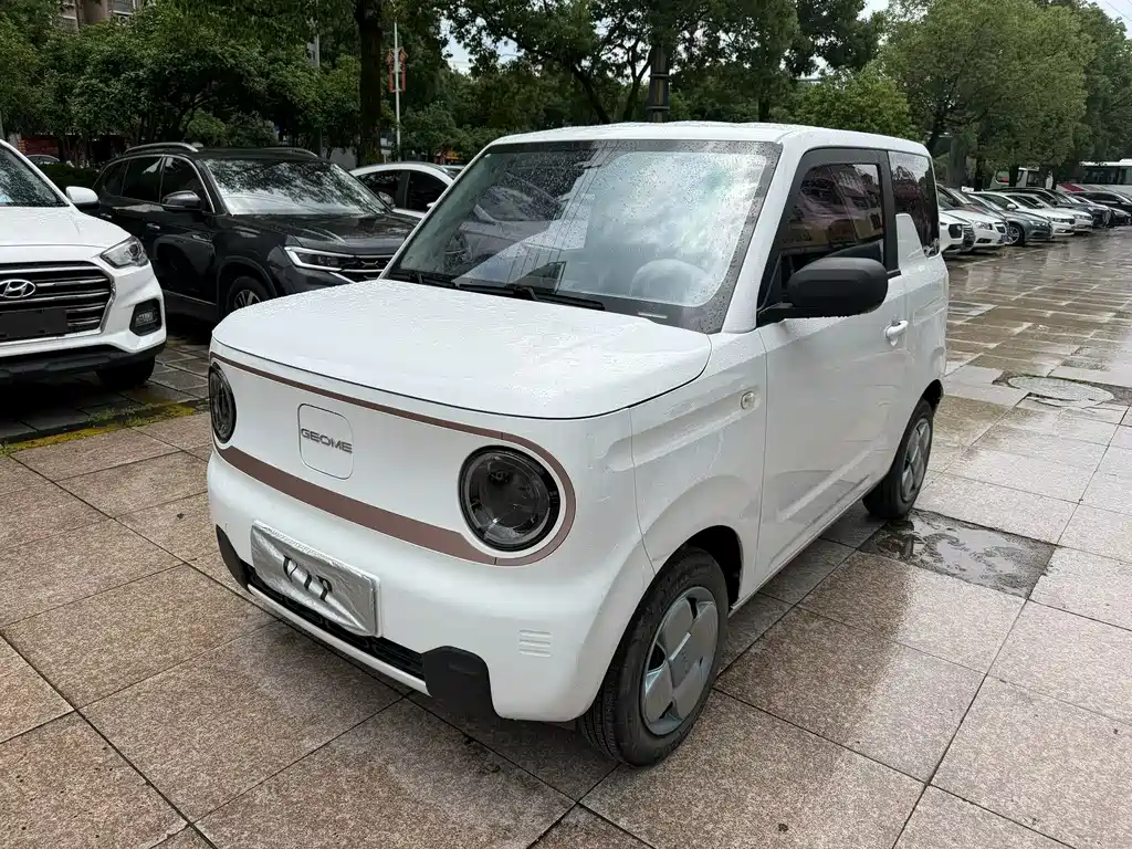 Galaxy Panda 2024