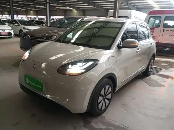 Wuling Bingo 2024
