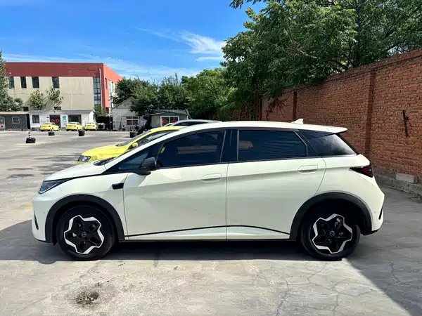 BYD Dolphin 2025