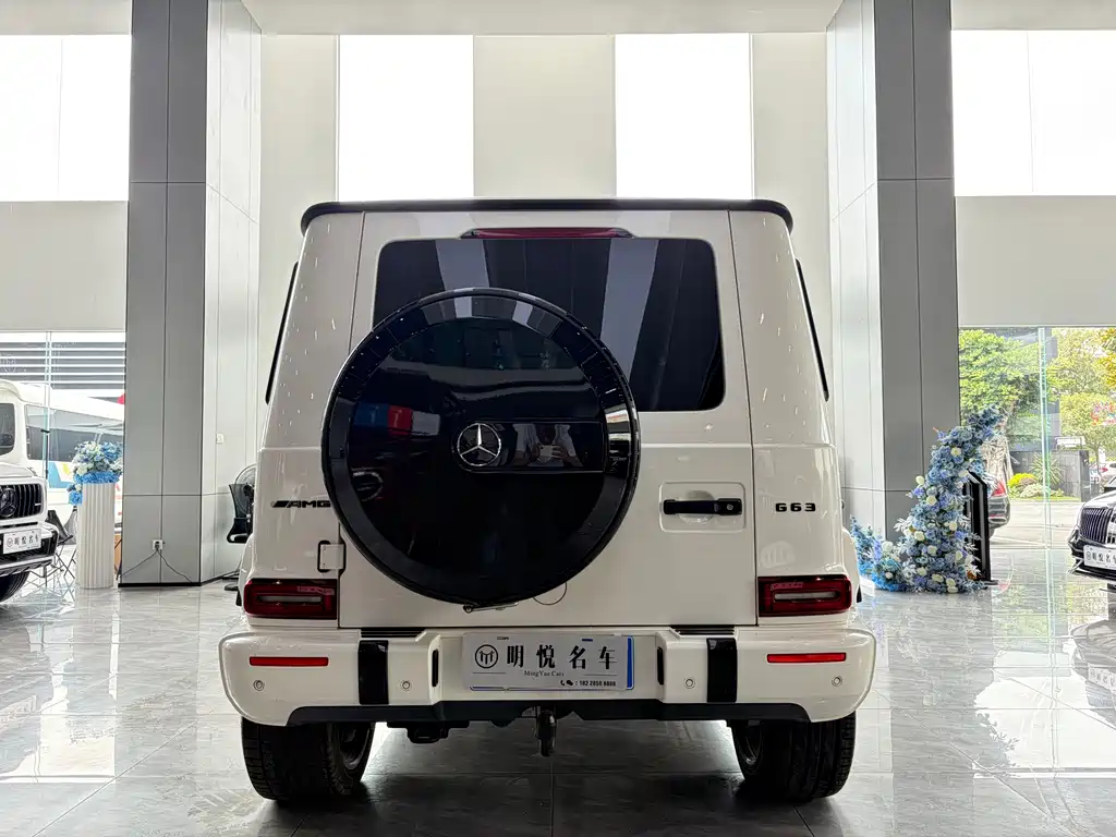 Mercedes-Benz G-Class 2019 — фото 15