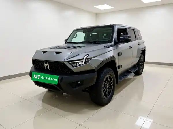 Mengshi 917 2025