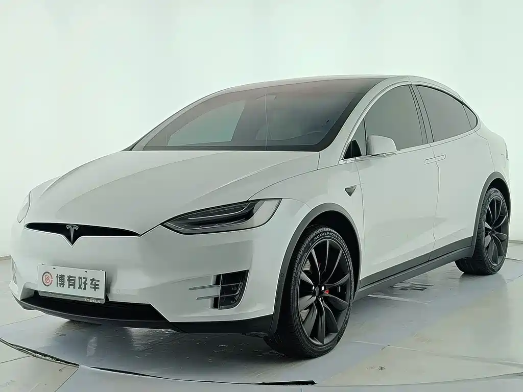 Tesla Model X 2020 — фото 1