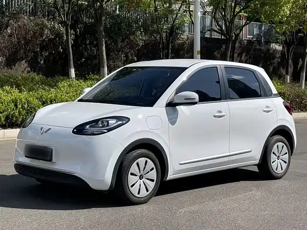 Wuling Bingo 2024