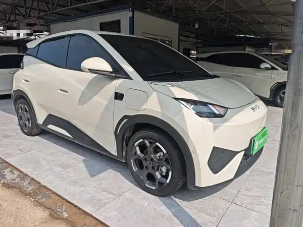 BYD Seagull 2025