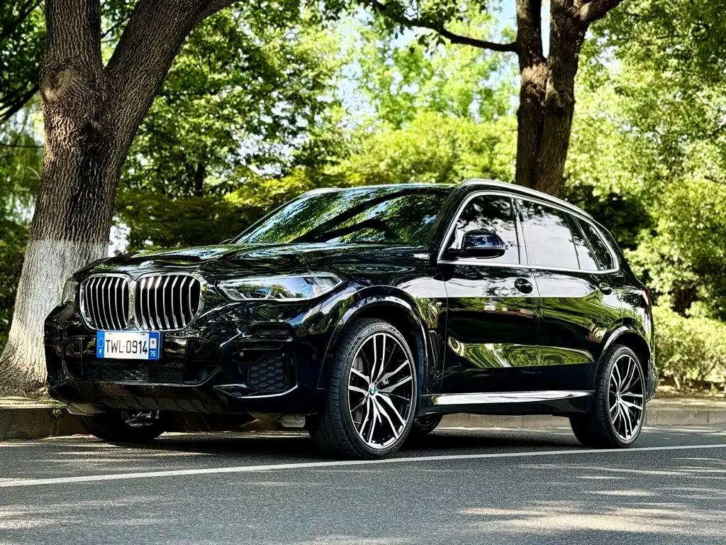 BMW X5 2023 — фото 1
