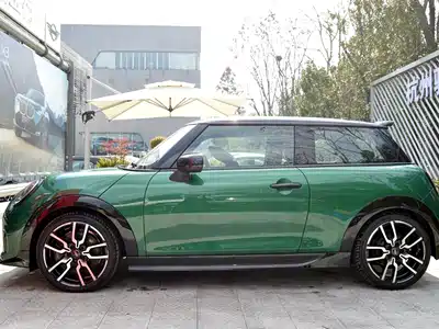 MINI MINI 2025