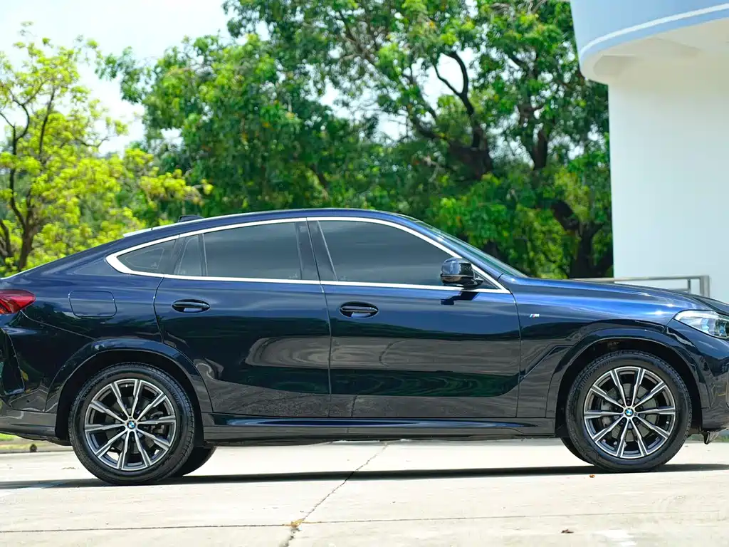 BMW X6 2022