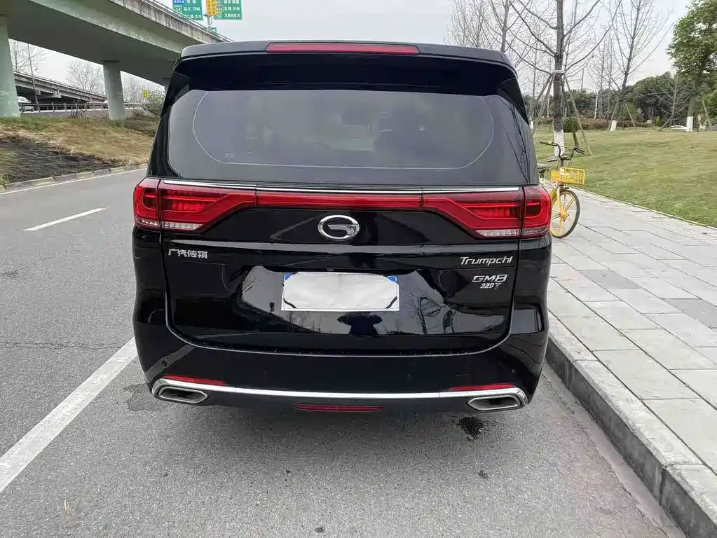 GAC Motor Trumpchi M8 2018 — фото 15