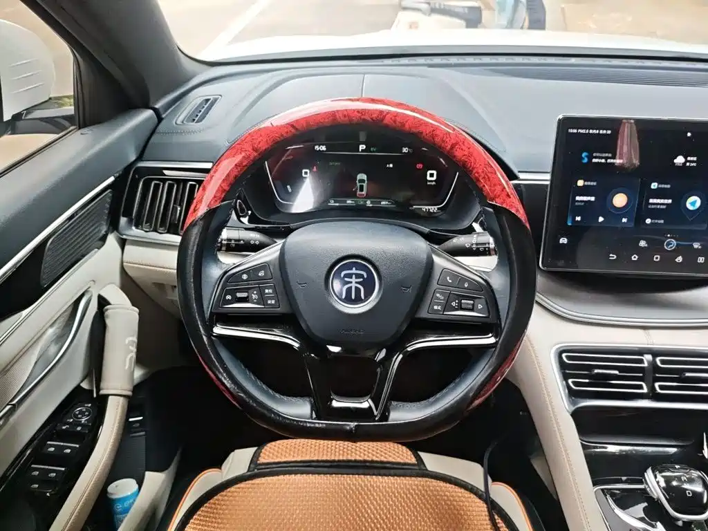 BYD Song PLUS New Energy 2023 — фото 6