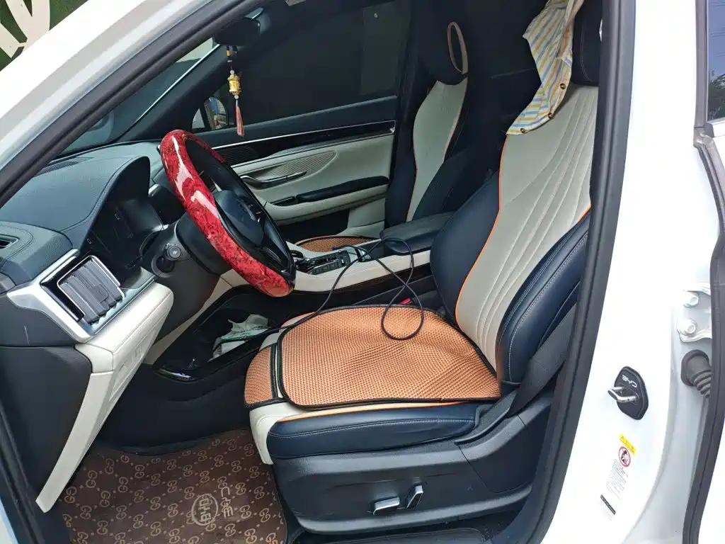 BYD Song PLUS New Energy 2023 — фото 11