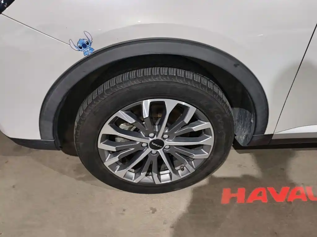 Haval H6 2020 — фото 23