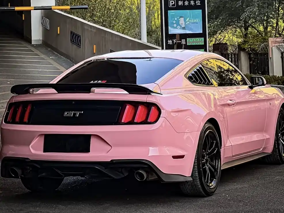 Ford Mustang 2017 — фото 12