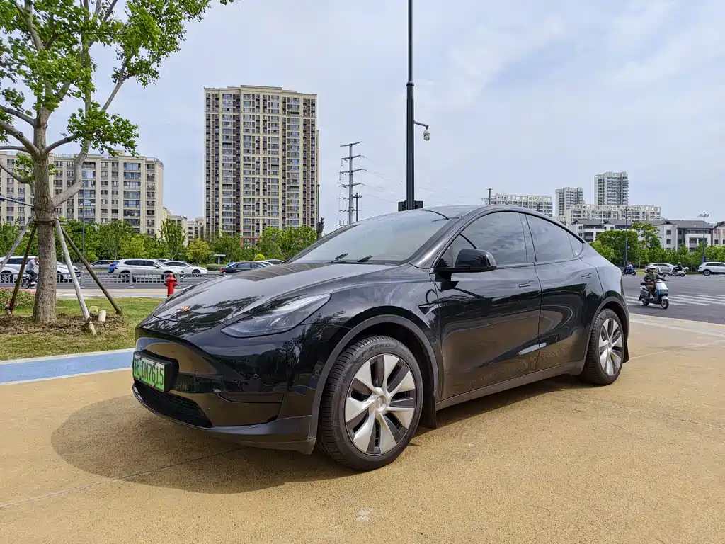 Tesla Model Y 2023 — фото 1
