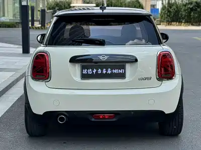 MINI MINI 2019