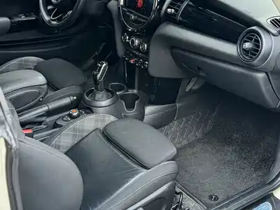MINI MINI 2019