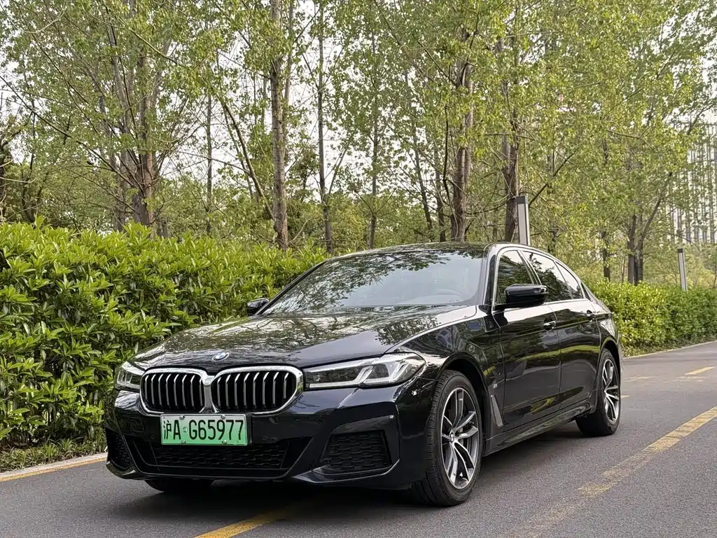 BMW 5 Series New Energy 2021 — фото 1
