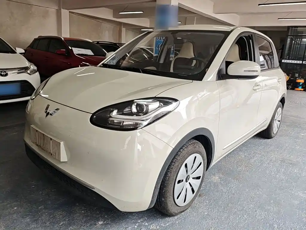 Wuling Bingo 2024