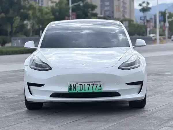 Tesla Model 3 2020