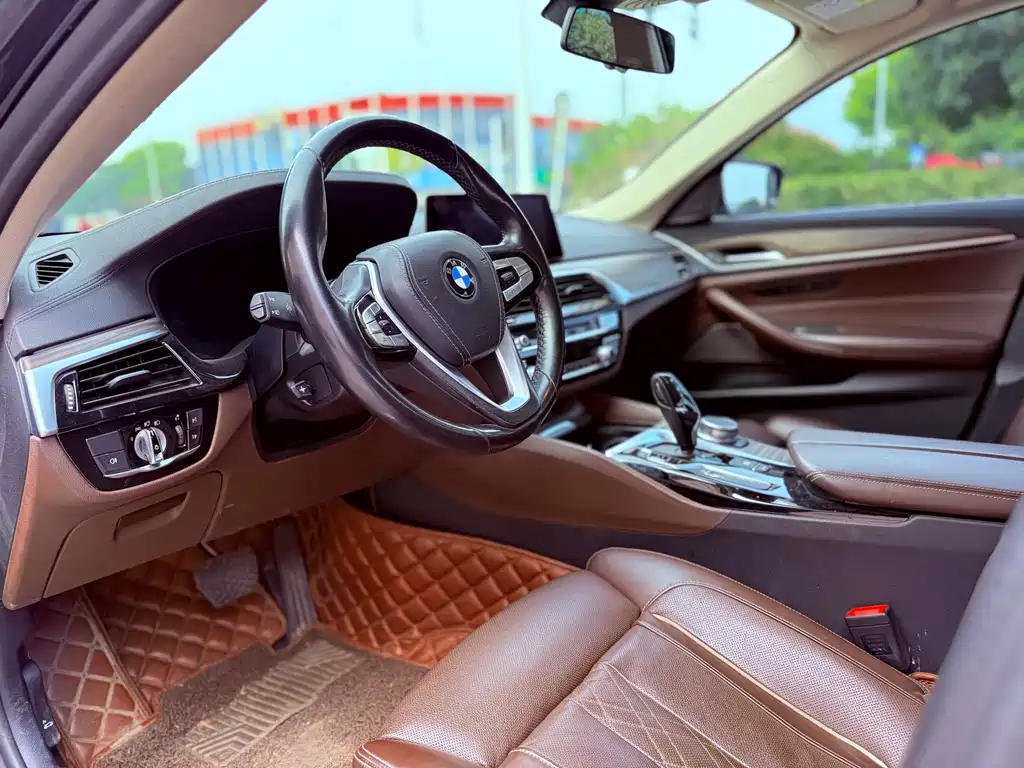 BMW 5 Series New Energy 2019