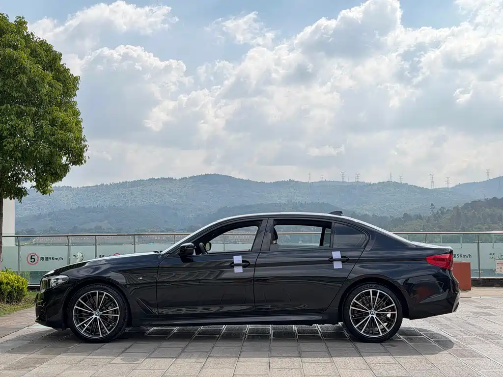 BMW 5 Series 2019 — фото 10