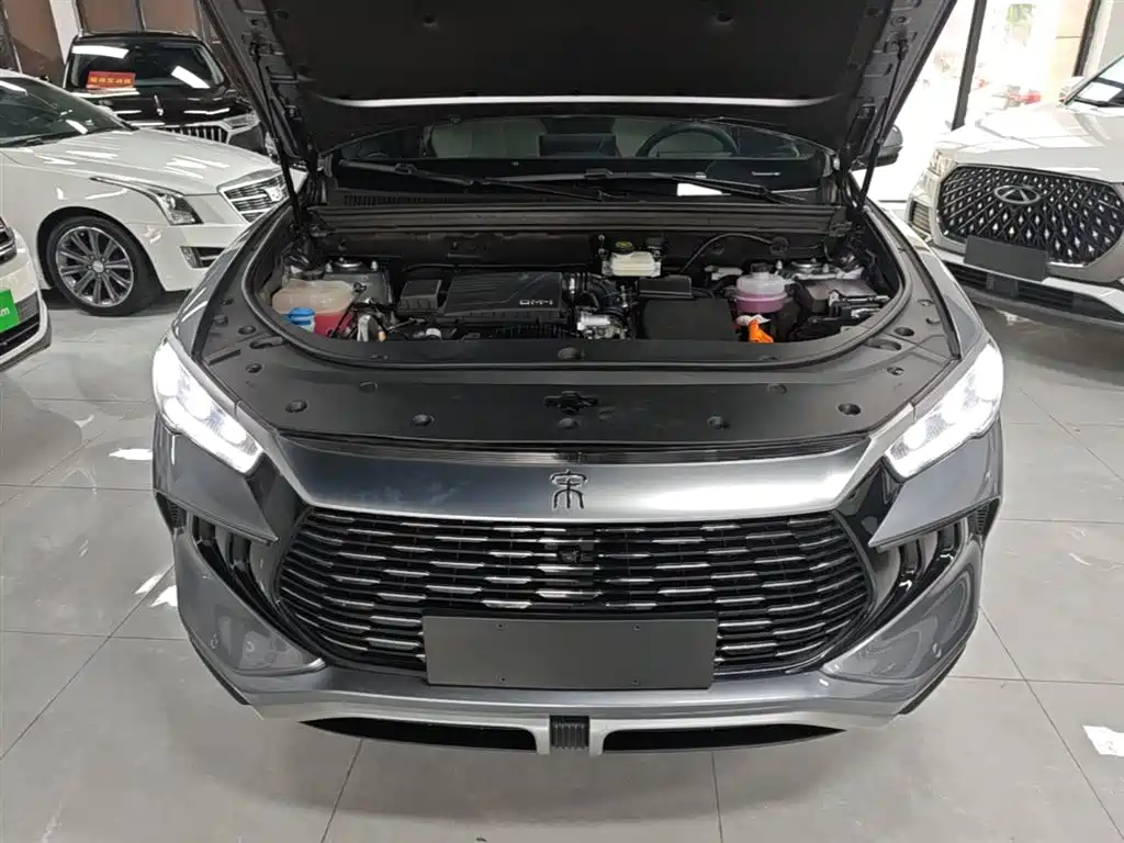 BYD Pro New Energy 2025 — фото 16