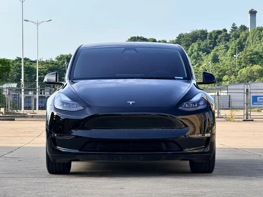 Tesla Model Y 2021 — фото 1