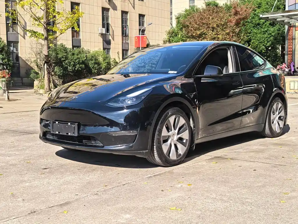 Tesla Model Y 2021 — фото 1