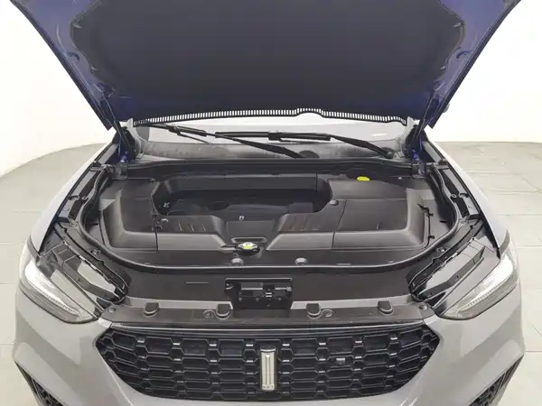 Wey VV6 2019
