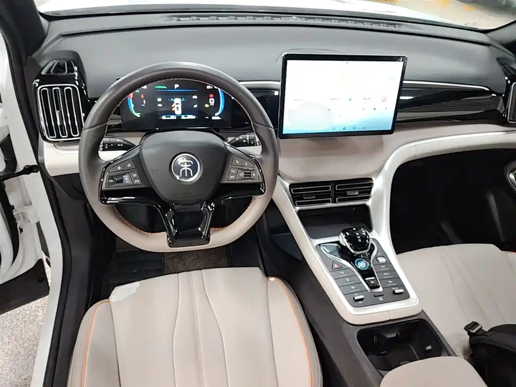BYD Pro New Energy 2023 — фото 10