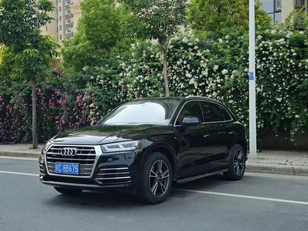 Audi Q5L 2019 — фото 1
