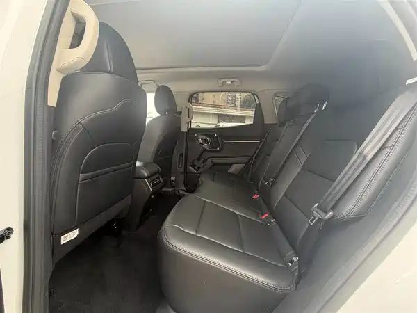 Haval Dog PLUS 2023