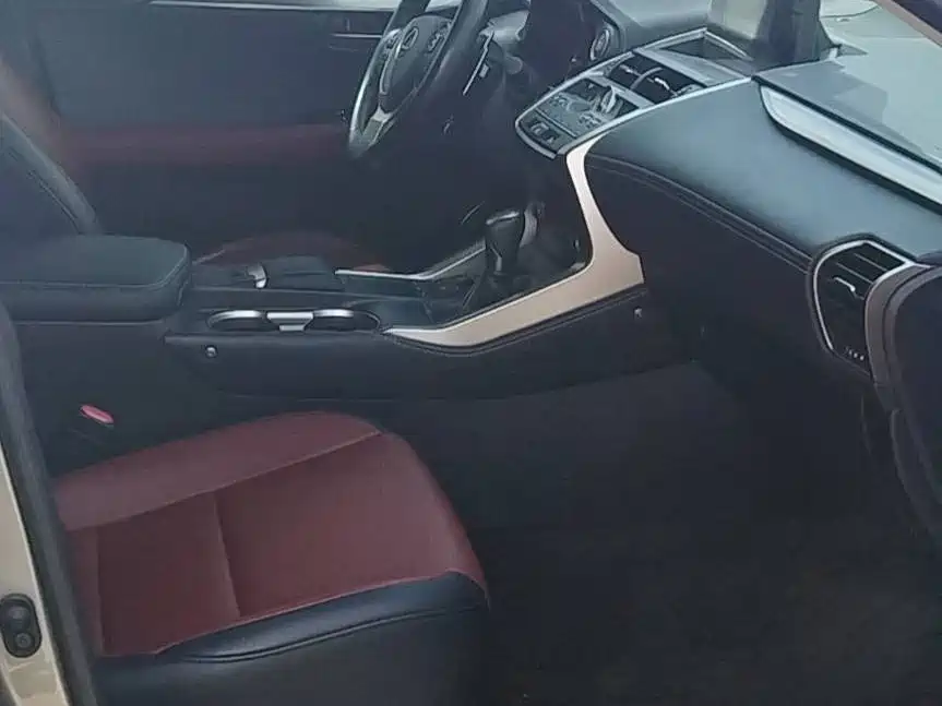 Lexus NX 2021 — фото 11
