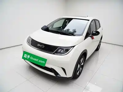 BYD Dolphin 2026