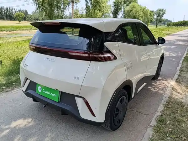BYD Seagull 2025