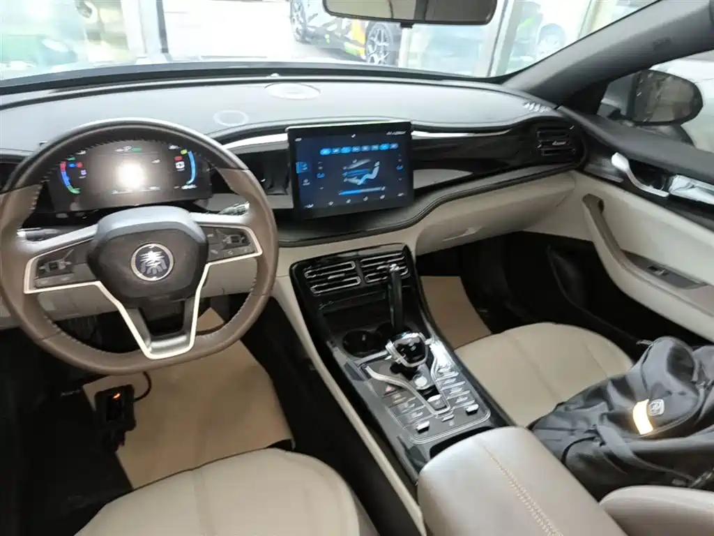 BYD Qin PLUS 2024 — фото 13