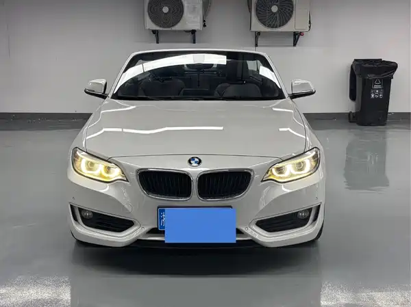 BMW 2 Series 2017
