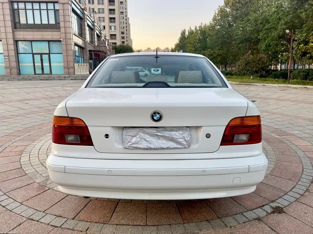 BMW 5 Series 2002 — фото 6