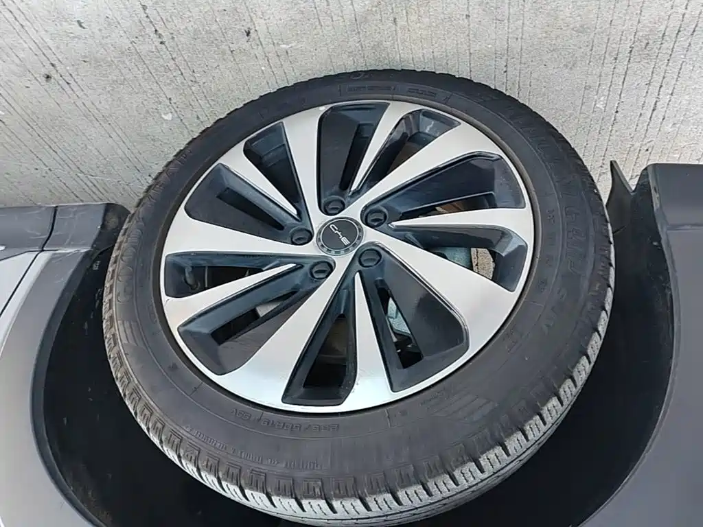 BYD Song PLUS New Energy 2023 — фото 23