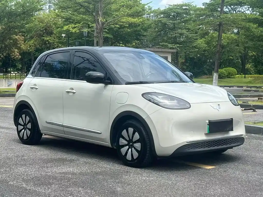 Wuling Bingo 2023