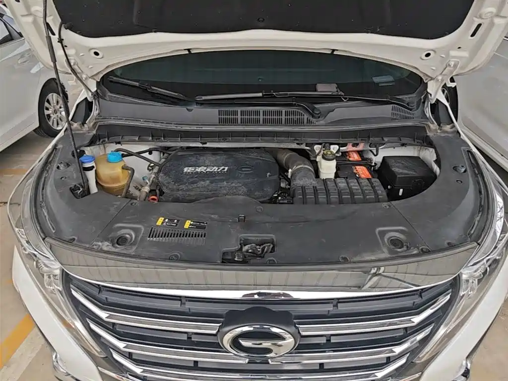 GAC Motor Trumpchi M8 2023 — фото 20