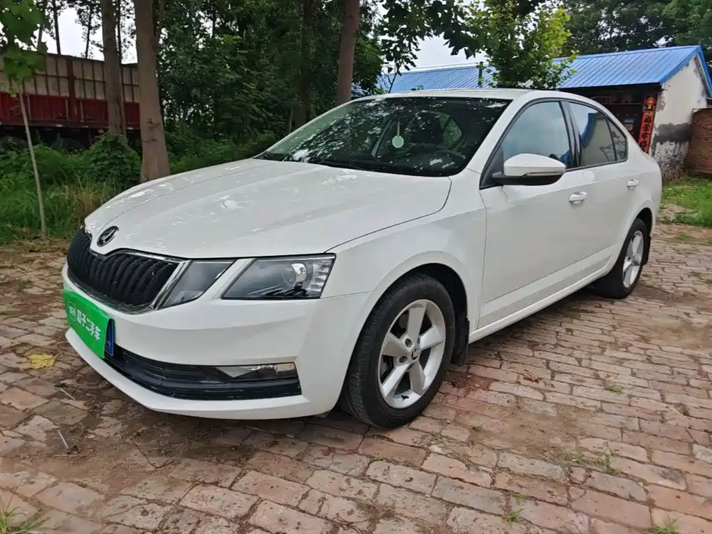 Skoda Octavia 2019 — фото 1