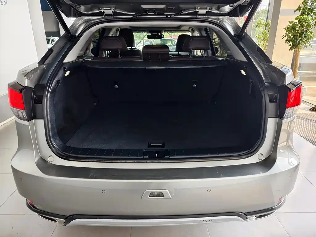 Lexus RX 2020 — фото 15