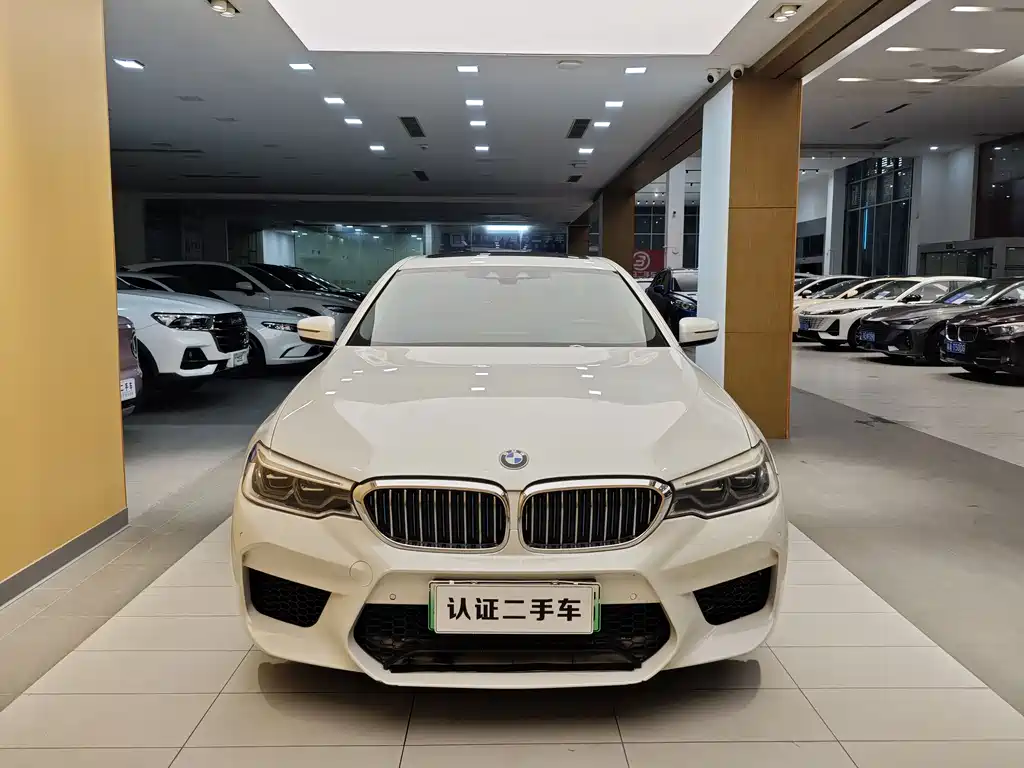 BMW 5 Series New Energy 2018 — фото 4