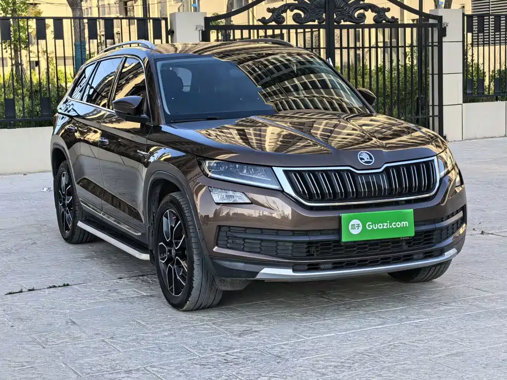 Skoda Kodiaq 2019 — фото 24