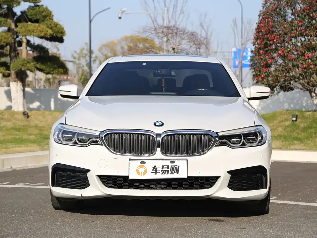 BMW 5 Series 2020