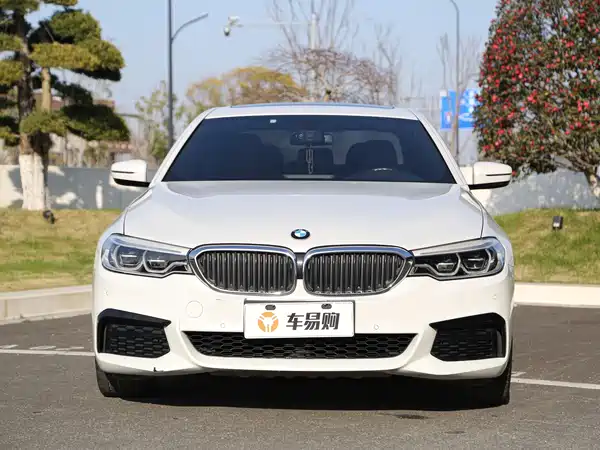 BMW 5 Series 2020