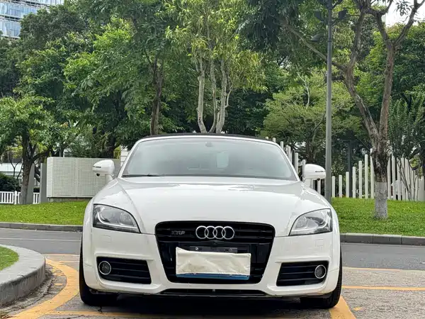 Audi TT 2013