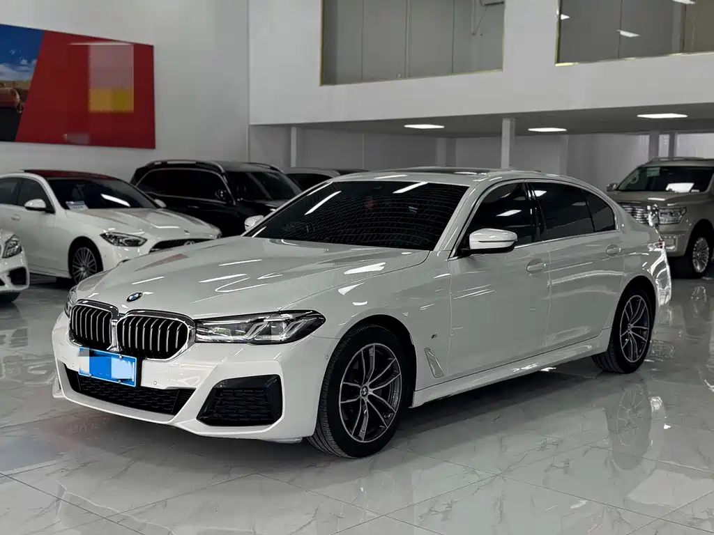 BMW 5 Series 2021